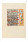 Hours of Queen Isabella the Catholic, Queen of Spain: Fol. 118r, c. 1500 by Master of the First Prayerbook of Maximillian