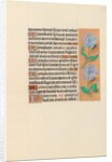 Hours of Queen Isabella the Catholic, Queen of Spain: Fol. 120r, c. 1500 by Master of the First Prayerbook of Maximillian