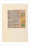 Hours of Queen Isabella the Catholic, Queen of Spain: Fol. 121r, c. 1500 by Master of the First Prayerbook of Maximillian