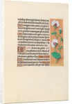 Hours of Queen Isabella the Catholic, Queen of Spain: Fol. 123r, c. 1500 by Master of the First Prayerbook of Maximillian