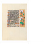 Hours of Queen Isabella the Catholic, Queen of Spain: Fol. 123r, c. 1500 by Master of the First Prayerbook of Maximillian