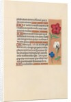 Hours of Queen Isabella the Catholic, Queen of Spain: Fol. 124r, c. 1500 by Master of the First Prayerbook of Maximillian