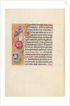 Hours of Queen Isabella the Catholic, Queen of Spain: Fol. 124v, c. 1500 by Master of the First Prayerbook of Maximillian