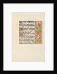 Hours of Queen Isabella the Catholic, Queen of Spain: Fol. 125r, c. 1500 by Master of the First Prayerbook of Maximillian