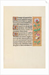 Hours of Queen Isabella the Catholic, Queen of Spain: Fol. 125r, c. 1500 by Master of the First Prayerbook of Maximillian