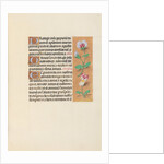 Hours of Queen Isabella the Catholic, Queen of Spain: Fol. 125r, c. 1500 by Master of the First Prayerbook of Maximillian