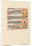 Hours of Queen Isabella the Catholic, Queen of Spain: Fol. 150r, c. 1500 by Master of the First Prayerbook of Maximillian