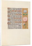 Hours of Queen Isabella the Catholic, Queen of Spain: Fol. 151r, c. 1500 by Master of the First Prayerbook of Maximillian