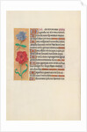 Hours of Queen Isabella the Catholic, Queen of Spain: Fol. 151v, c. 1500 by Master of the First Prayerbook of Maximillian