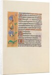 Hours of Queen Isabella the Catholic, Queen of Spain: Fol. 157v, c. 1500 by Master of the First Prayerbook of Maximillian