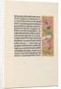 Hours of Queen Isabella the Catholic, Queen of Spain: Fol. 163r, c. 1500 by Master of the First Prayerbook of Maximillian