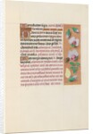 Hours of Queen Isabella the Catholic, Queen of Spain: Fol. 165r, c. 1500 by Master of the First Prayerbook of Maximillian