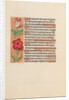 Hours of Queen Isabella the Catholic, Queen of Spain: Fol. 201v, c. 1500 by Master of the First Prayerbook of Maximillian
