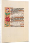 Hours of Queen Isabella the Catholic, Queen of Spain: Fol. 201v, c. 1500 by Master of the First Prayerbook of Maximillian