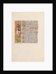 Hours of Queen Isabella the Catholic, Queen of Spain: Fol. 202v, c. 1500 by Master of the First Prayerbook of Maximillian