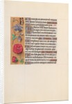 Hours of Queen Isabella the Catholic, Queen of Spain: Fol. 204v, c. 1500 by Master of the First Prayerbook of Maximillian