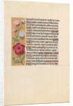 Hours of Queen Isabella the Catholic, Queen of Spain: Fol. 205v, c. 1500 by Master of the First Prayerbook of Maximillian