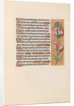 Hours of Queen Isabella the Catholic, Queen of Spain: Fol. 207r, c. 1500 by Master of the First Prayerbook of Maximillian