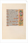 Hours of Queen Isabella the Catholic, Queen of Spain: Fol. 207r, c. 1500 by Master of the First Prayerbook of Maximillian