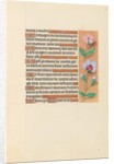 Hours of Queen Isabella the Catholic, Queen of Spain: Fol. 208r, c. 1500 by Master of the First Prayerbook of Maximillian