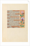 Hours of Queen Isabella the Catholic, Queen of Spain: Fol. 208r, c. 1500 by Master of the First Prayerbook of Maximillian