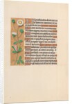 Hours of Queen Isabella the Catholic, Queen of Spain: Fol. 208v, c. 1500 by Master of the First Prayerbook of Maximillian