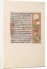 Hours of Queen Isabella the Catholic, Queen of Spain: Fol. 20r, c. 1500 by Master of the First Prayerbook of Maximillian