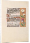 Hours of Queen Isabella the Catholic, Queen of Spain: Fol. 20r, c. 1500 by Master of the First Prayerbook of Maximillian