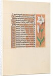 Hours of Queen Isabella the Catholic, Queen of Spain: Fol. 211r, c. 1500 by Master of the First Prayerbook of Maximillian