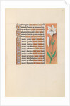 Hours of Queen Isabella the Catholic, Queen of Spain: Fol. 211r, c. 1500 by Master of the First Prayerbook of Maximillian