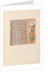 Hours of Queen Isabella the Catholic, Queen of Spain: Fol. 211r, c. 1500 by Master of the First Prayerbook of Maximillian