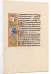 Hours of Queen Isabella the Catholic, Queen of Spain: Fol. 216v, c. 1500 by Master of the First Prayerbook of Maximillian