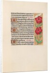 Hours of Queen Isabella the Catholic, Queen of Spain: Fol. 217r, c. 1500 by Master of the First Prayerbook of Maximillian