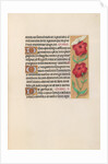 Hours of Queen Isabella the Catholic, Queen of Spain: Fol. 217r, c. 1500 by Master of the First Prayerbook of Maximillian