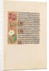 Hours of Queen Isabella the Catholic, Queen of Spain: Fol. 217v, c. 1500 by Master of the First Prayerbook of Maximillian