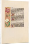 Hours of Queen Isabella the Catholic, Queen of Spain: Fol. 217v, c. 1500 by Master of the First Prayerbook of Maximillian