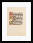 Hours of Queen Isabella the Catholic, Queen of Spain: Fol. 217v, c. 1500 by Master of the First Prayerbook of Maximillian