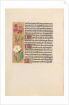 Hours of Queen Isabella the Catholic, Queen of Spain: Fol. 217v, c. 1500 by Master of the First Prayerbook of Maximillian