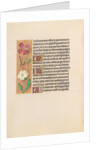 Hours of Queen Isabella the Catholic, Queen of Spain: Fol. 217v, c. 1500 by Master of the First Prayerbook of Maximillian