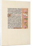 Hours of Queen Isabella the Catholic, Queen of Spain: Fol. 21r, c. 1500 by Master of the First Prayerbook of Maximillian