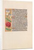 Hours of Queen Isabella the Catholic, Queen of Spain: Fol. 226v, c. 1500 by Master of the First Prayerbook of Maximillian