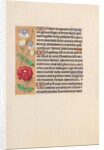 Hours of Queen Isabella the Catholic, Queen of Spain: Fol. 226v, c. 1500 by Master of the First Prayerbook of Maximillian