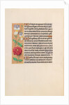 Hours of Queen Isabella the Catholic, Queen of Spain: Fol. 226v, c. 1500 by Master of the First Prayerbook of Maximillian