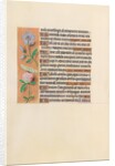 Hours of Queen Isabella the Catholic, Queen of Spain: Fol. 227v, c. 1500 by Master of the First Prayerbook of Maximillian
