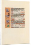 Hours of Queen Isabella the Catholic, Queen of Spain: Fol. 235v, c. 1500 by Master of the First Prayerbook of Maximillian