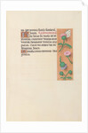 Hours of Queen Isabella the Catholic, Queen of Spain: Fol. 23r, c. 1500 by Master of the First Prayerbook of Maximillian