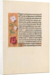 Hours of Queen Isabella the Catholic, Queen of Spain: Fol. 244v, c. 1500 by Master of the First Prayerbook of Maximillian