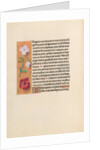 Hours of Queen Isabella the Catholic, Queen of Spain: Fol. 244v, c. 1500 by Master of the First Prayerbook of Maximillian