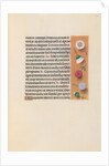 Hours of Queen Isabella the Catholic, Queen of Spain: Fol. 245r, c. 1500 by Master of the First Prayerbook of Maximillian