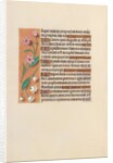 Hours of Queen Isabella the Catholic, Queen of Spain: Fol. 248v, c. 1500 by Master of the First Prayerbook of Maximillian